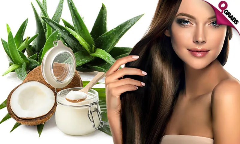 Organic Hair Treatments: Aloe Vera OR Coconut!